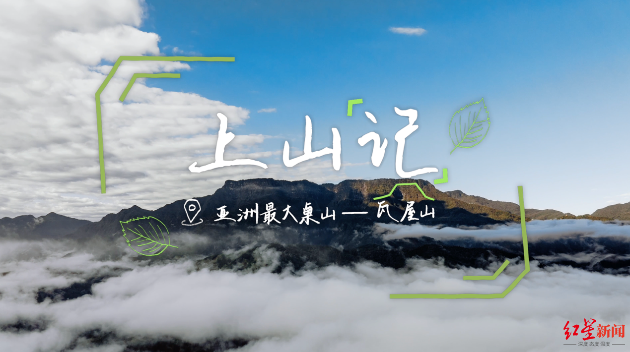 华为1.png