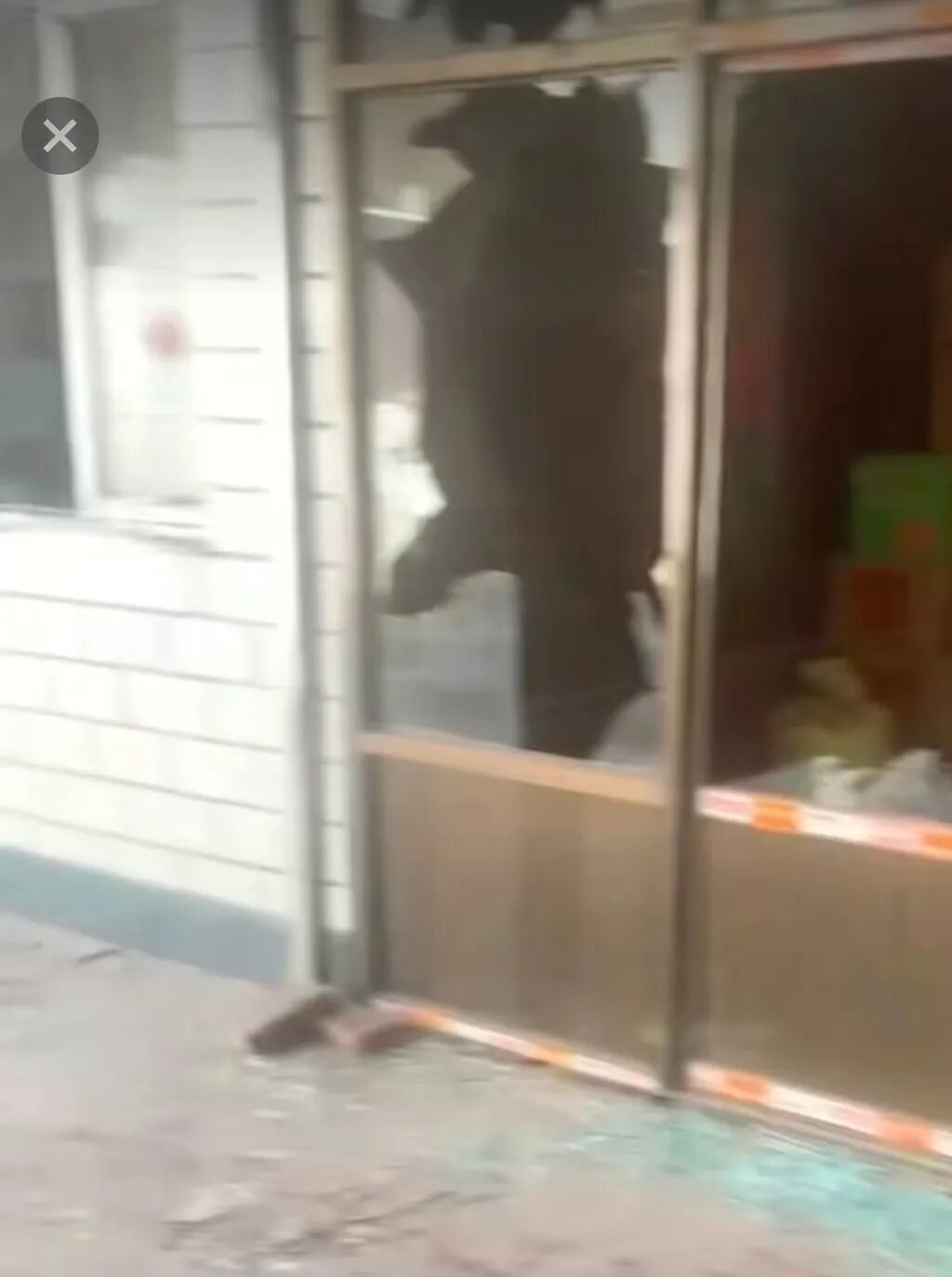 事发后现场画面。图片来源/申某倩