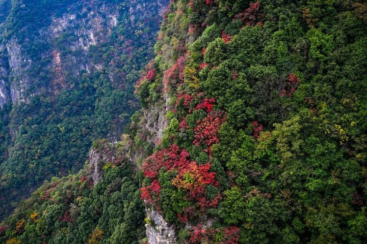 这是11月23日拍摄的巫峡·神女景区风光。