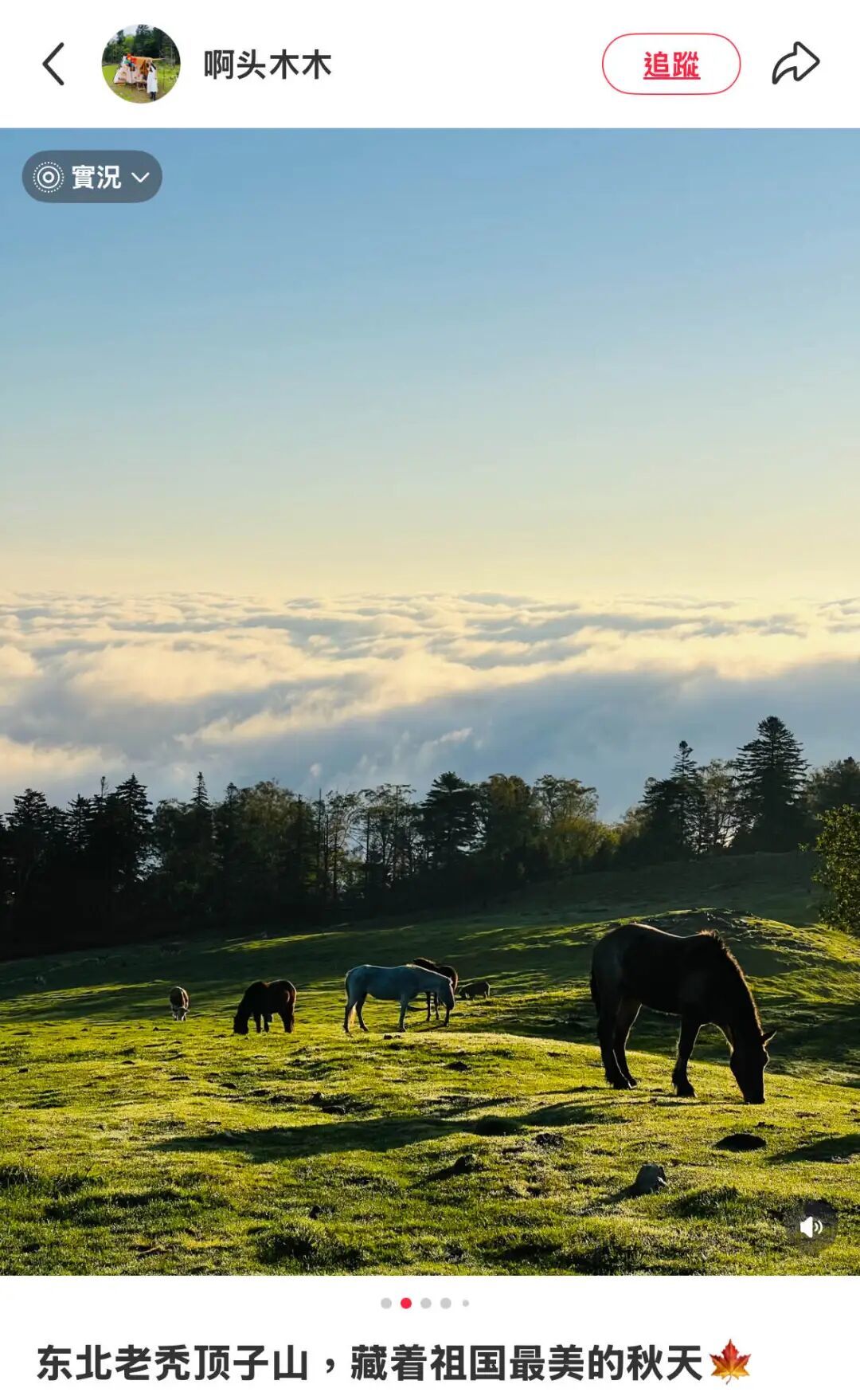 图源:小红书@啊头木木(已获授权)
