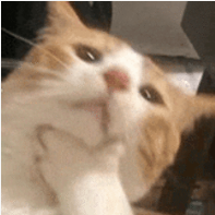 4172cbb6e859695d3bdeef50f853dfc.png