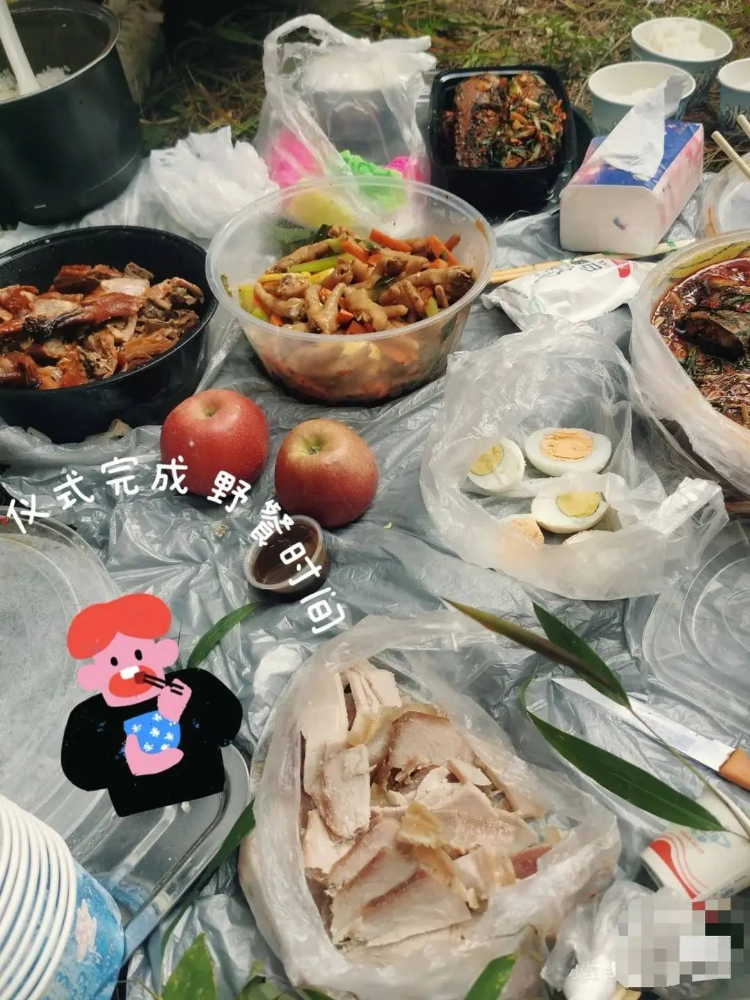 网友分享“扫墓野餐”经历。封面新闻