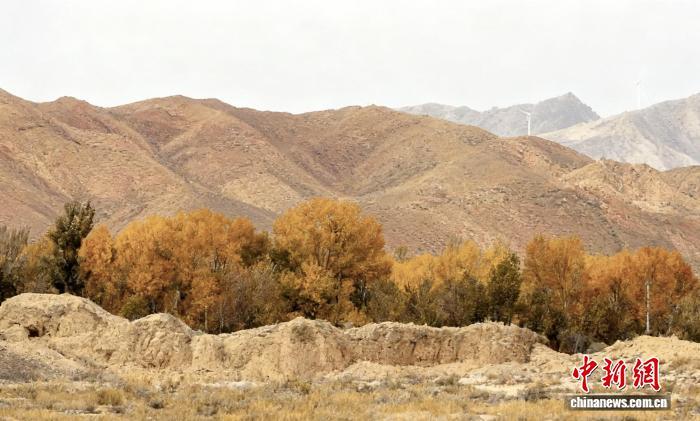 乌拉泊古城残存的城墙。(资料图)乌鲁木齐市文化广播电视和旅游局(市文物局)供图