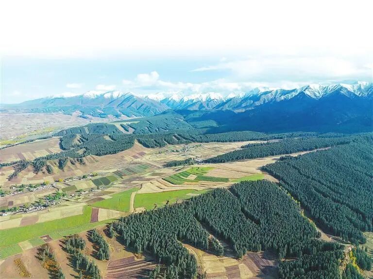 祁连山武威段秋景　姜爱平