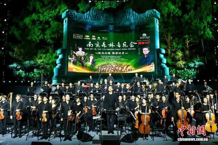 南京森林音乐会启幕。南京森林音乐会主办方供图