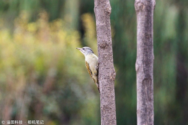 ETR76914_2000_溢图.jpg