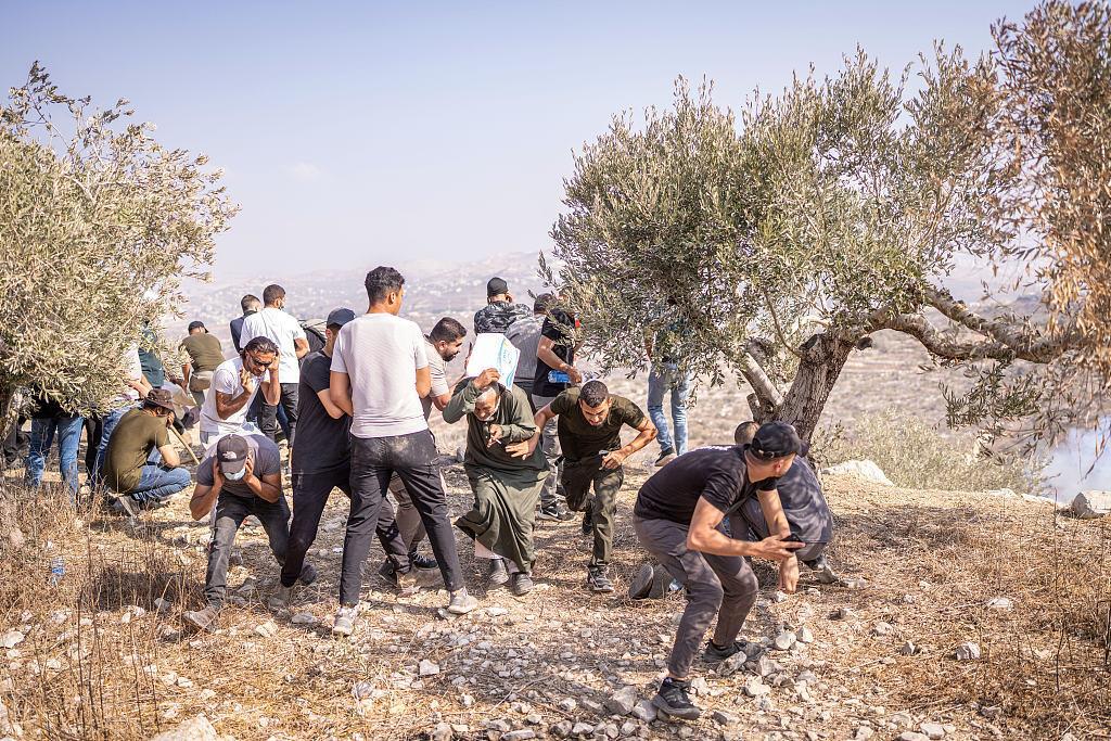 △巴勒斯坦民眾和支持巴勒斯坦的外國人士在采摘橄欖時,遭到以方襲擊