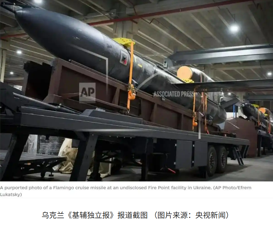 “火烈鸟”导弹采用机动发射。