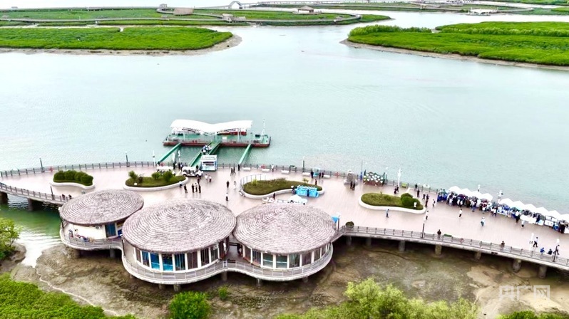 下潭尾红树林公园木栈道(央广网记者 吴馨骅 摄)