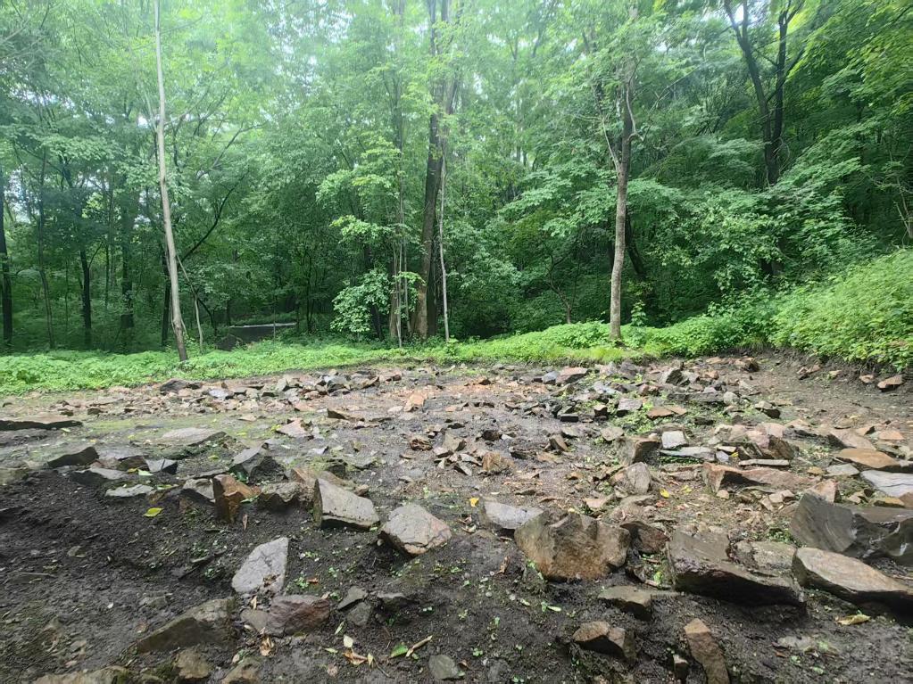 这是6月20日拍摄的一处位于红石砬子抗日根据地遗址中的房址。新华社记者王帆 摄