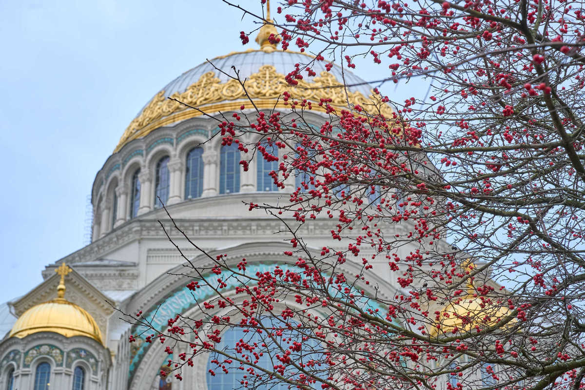 这是2025年11月30日在俄罗斯喀琅施塔得拍摄的海军大教堂。(图片来源:新华社)