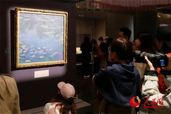 5月11日,观众在参观“乐林泉——中外园林文化展”。人民网记者 韦衍行摄