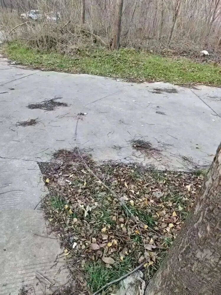 事发现场。极目新闻 图