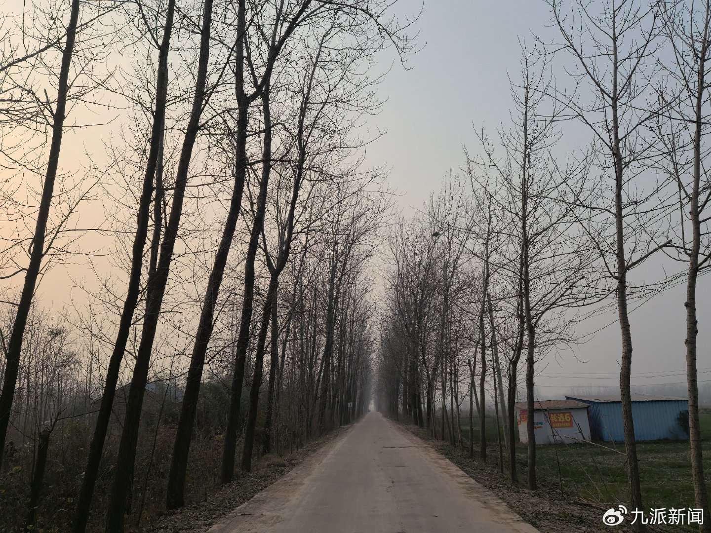 村道。图/九派新闻 马婕盈