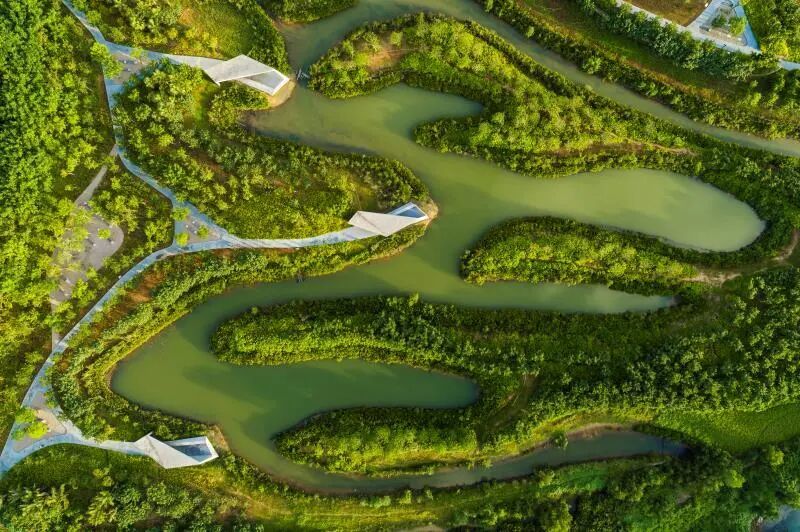 海南三亞紅樹林公園:修復濱海紅樹林,適應全球氣候變化,構建水韌性城市。