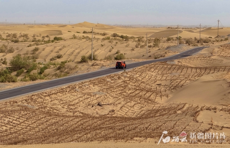6月13日，且末县防风治沙基地周围，一株株红柳、梭梭及草方格守护着沙海。石榴云/新疆日报记者 拍热扎提&middot;阿不都摄