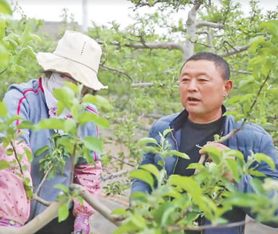 只要奋力奔跑 就能闪闪发光（光荣属于劳动者）