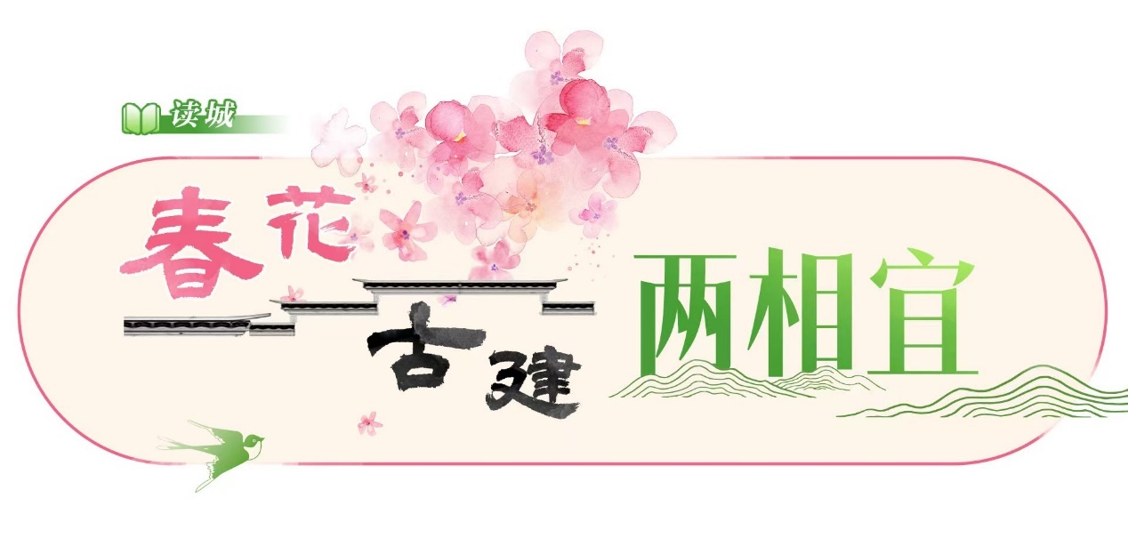 文化中国行|春花古建两相宜·书声琅琅处,百年孔庙展芳华