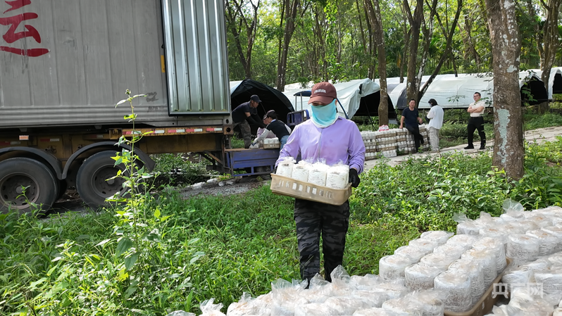 工人正在卸载菌棒（央广网记者 付美斌 摄）