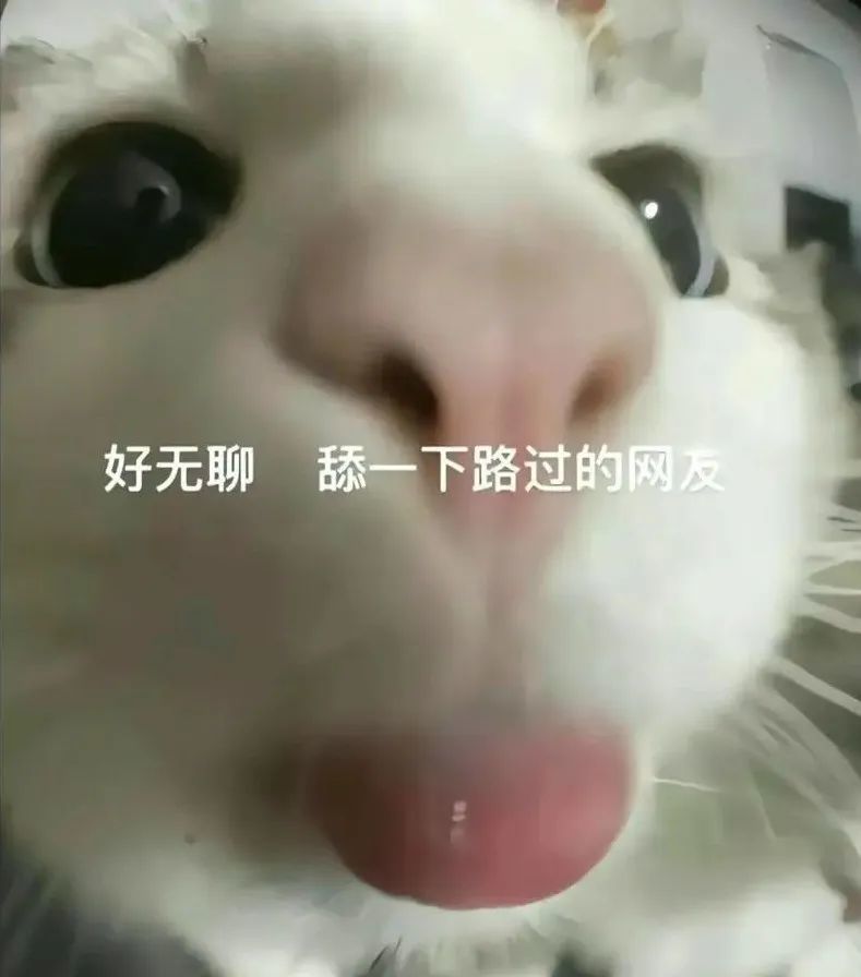 刚发布的这台国产手机,提前预定年度最香