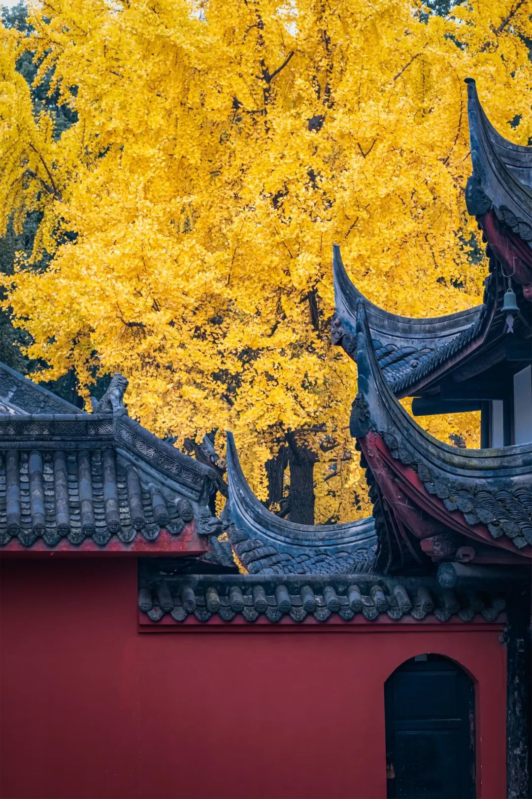 ▲人间净土(摄影:冯杰)