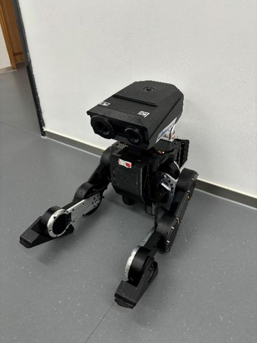 开源·开放·开创，2025张江具身智能开发者大会暨国际人形机器人技能大赛即将启幕__凤凰网