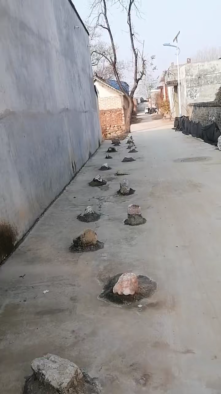 (网传视频截图)