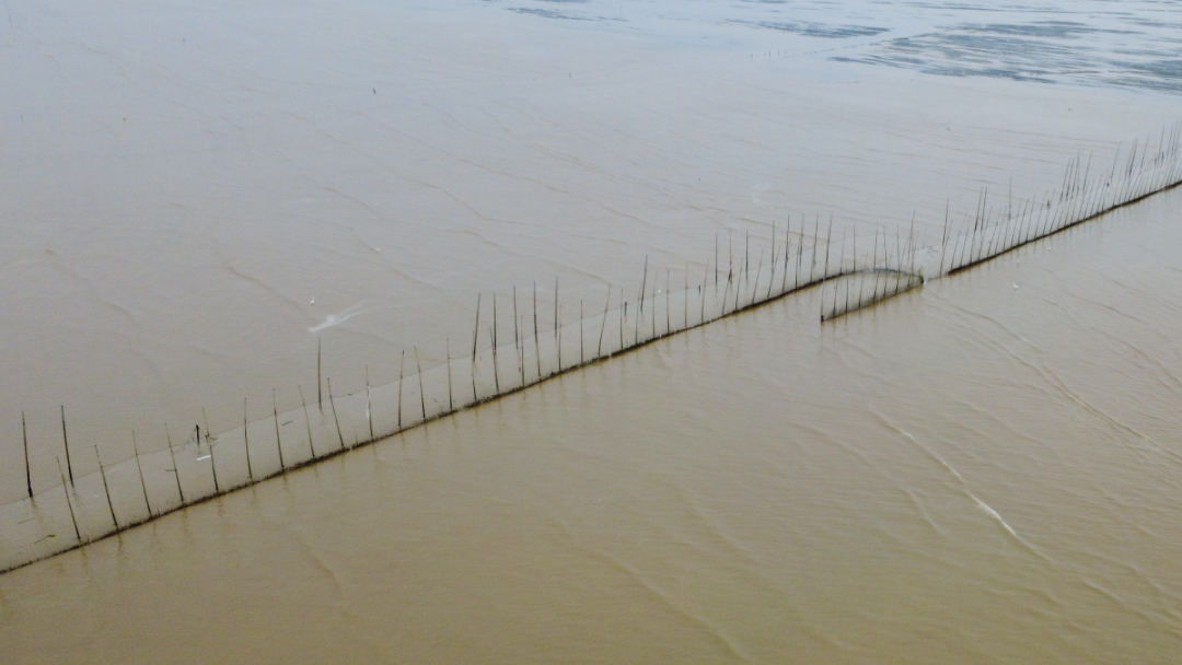 非法渔具渔箔。