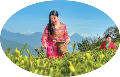 �ɲ���Ű�����