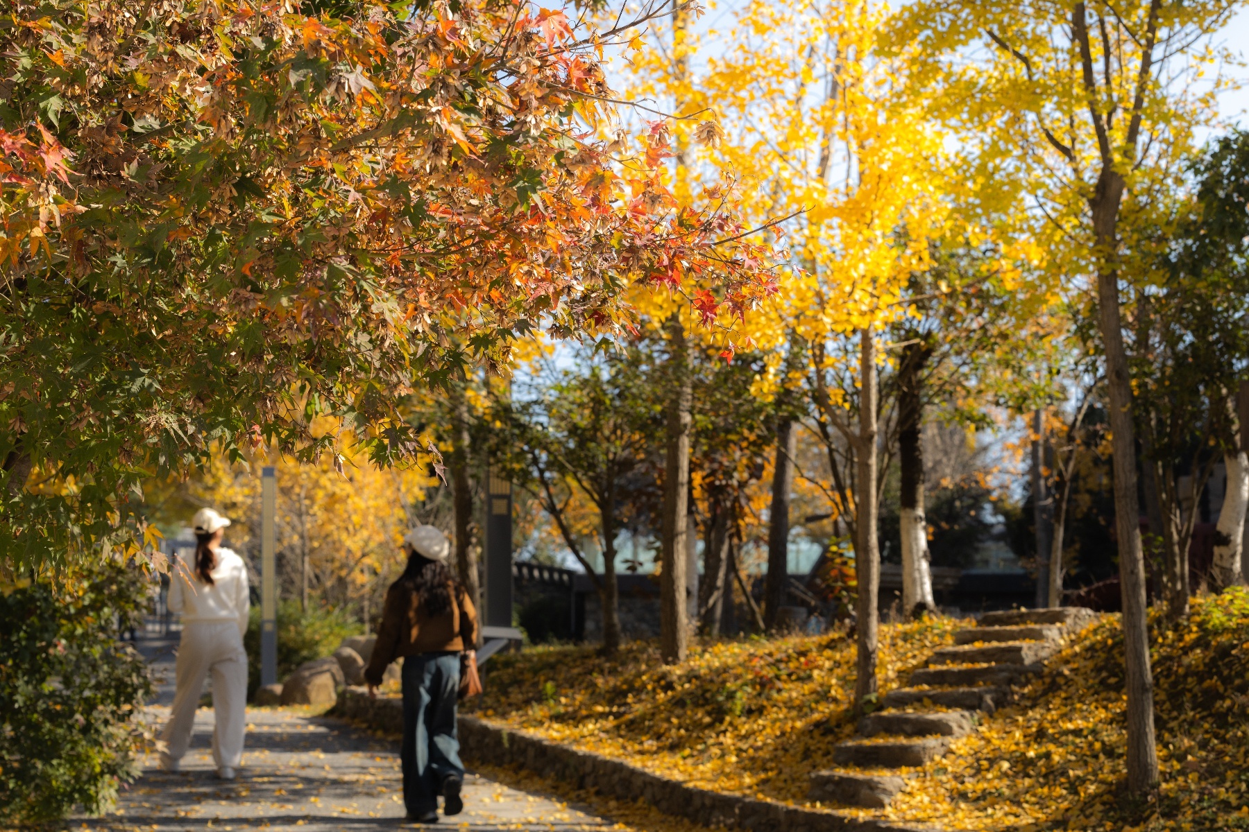 20251105武汉黄陂清凉寨秋景-6