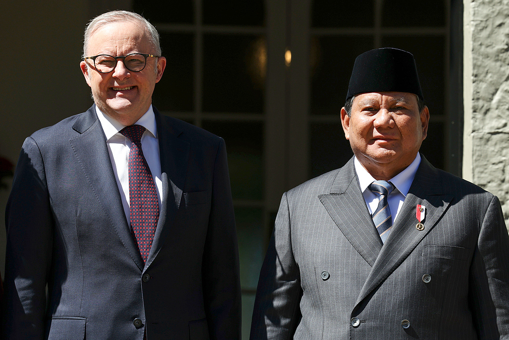 11月12日,澳大利亚总理阿尔巴尼斯(左)会见印度尼西亚总统普拉博沃。(视觉中国)