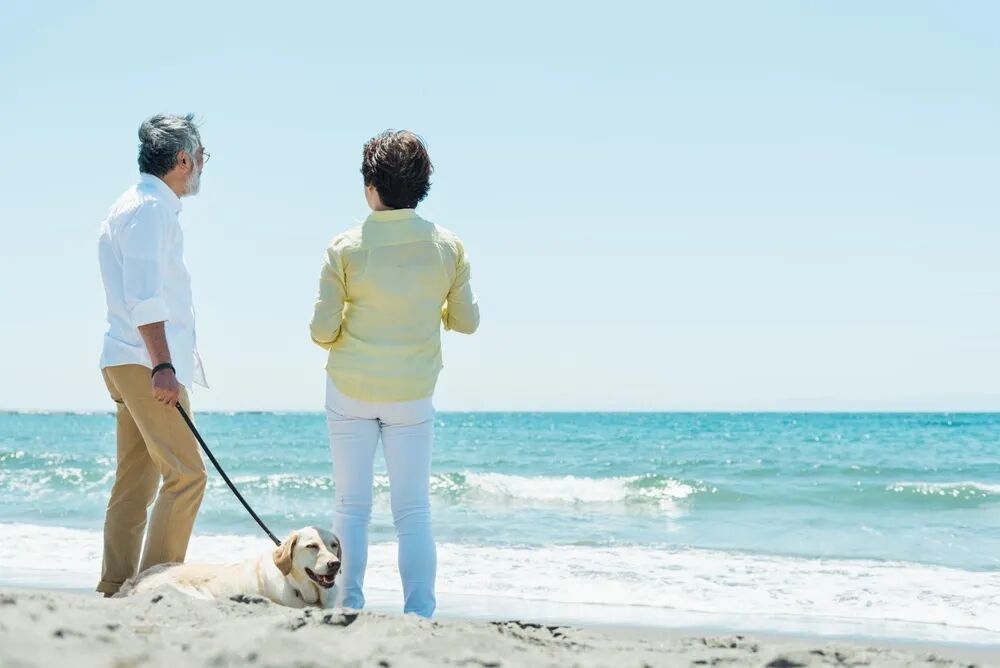 图片来源:站酷海洛