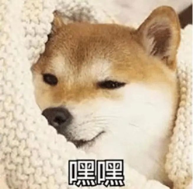 太爽了,去年买不起的24+1TB顶配,现在价格彻底崩了