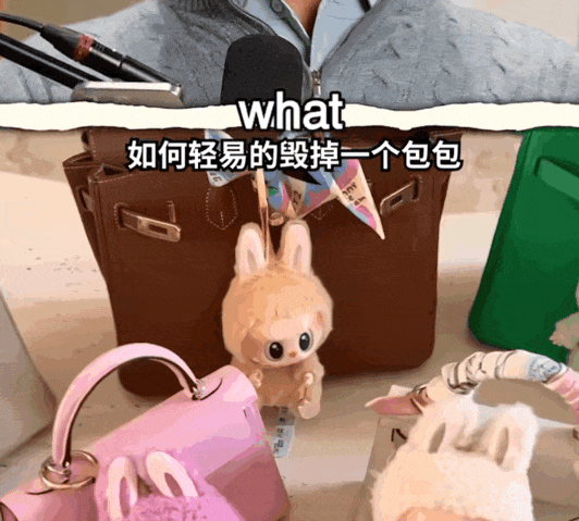 老百姓玩Labubu,戳有钱人肺管子了?