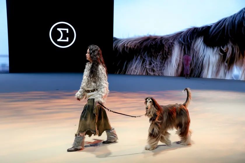 这场发布会,或将开启相机风格新赛道