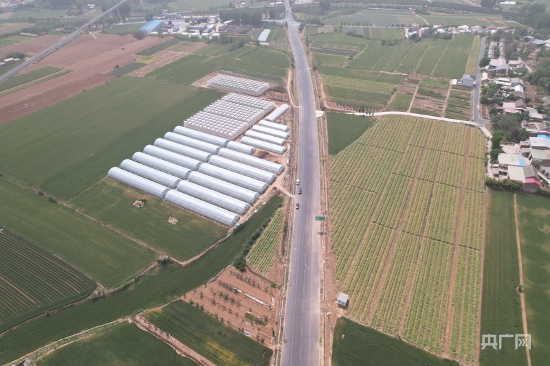 毛岭村将“四好农村路”修到了田间地头（央广网发 赵梦阳 摄）