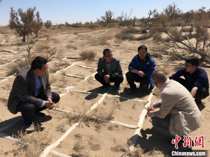 图为团队在荒漠腹地调研治沙技术（资料图）　甘肃科技集团供图