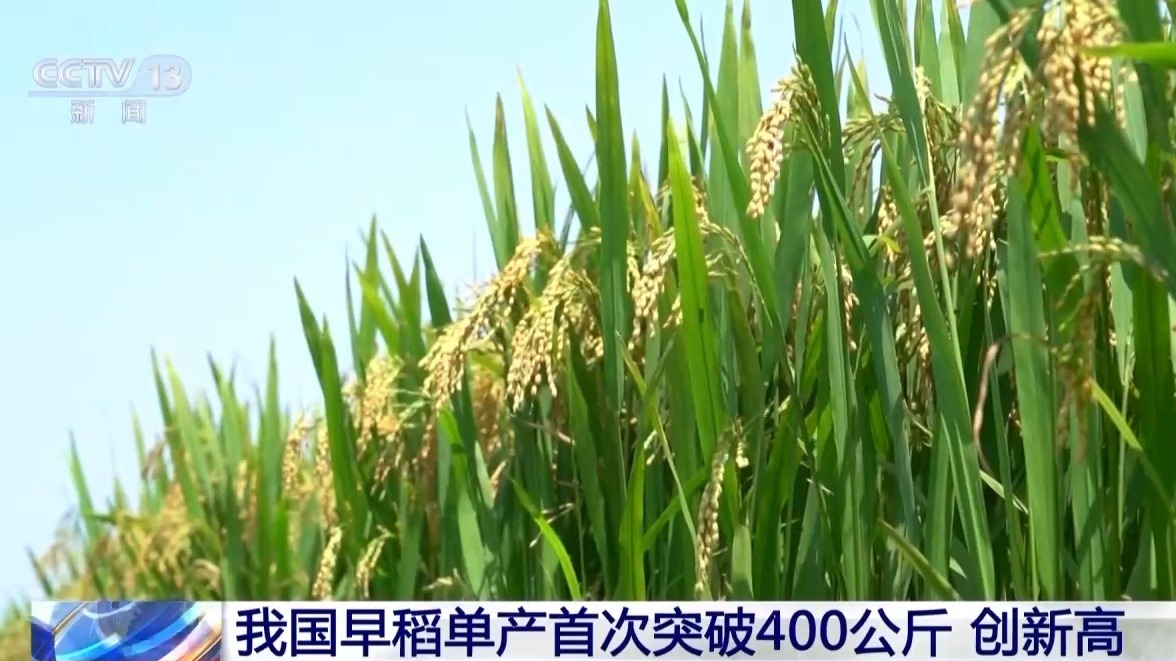 月壤研究新突破、“超级工程”进度条刷新……这一周,多领域好消息频传