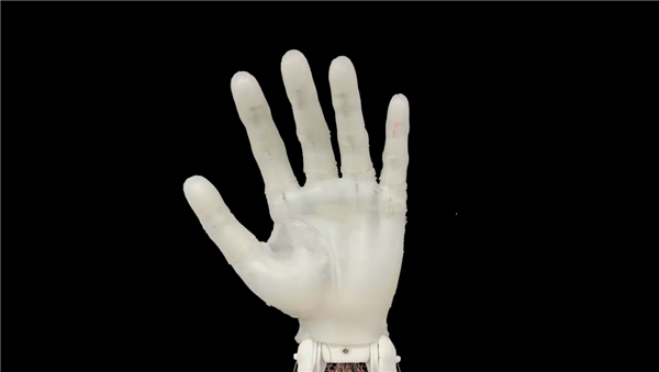 复现人手级运动能力!中国科大研发出19自由度假肢灵巧手