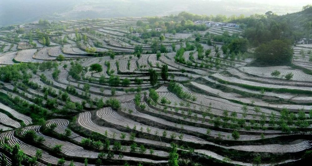 宜君县哭泉镇的旱作梯田。
