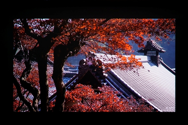 三色激光画质惊人!当贝D7X激光投影仪评测:三千元不到就能体验旗舰技术