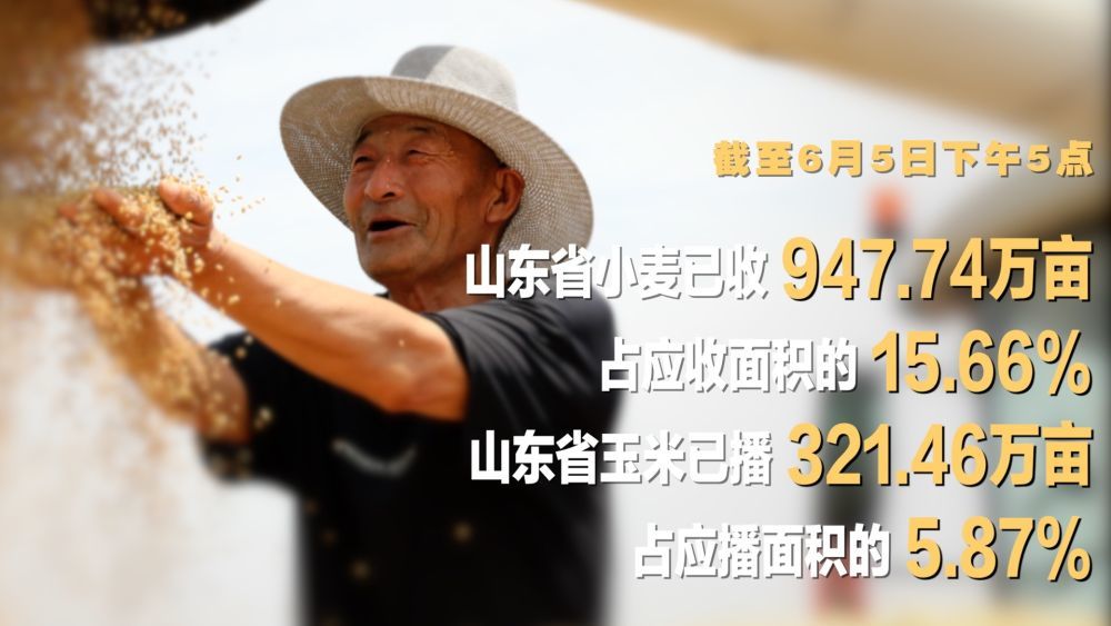 微视频｜“三夏”农忙时节 “数”看各地丰收图景