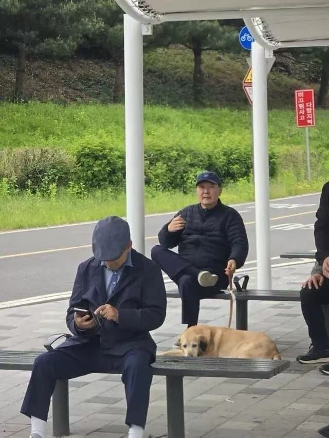 尹锡悦被拍到在公园遛狗 图自韩媒