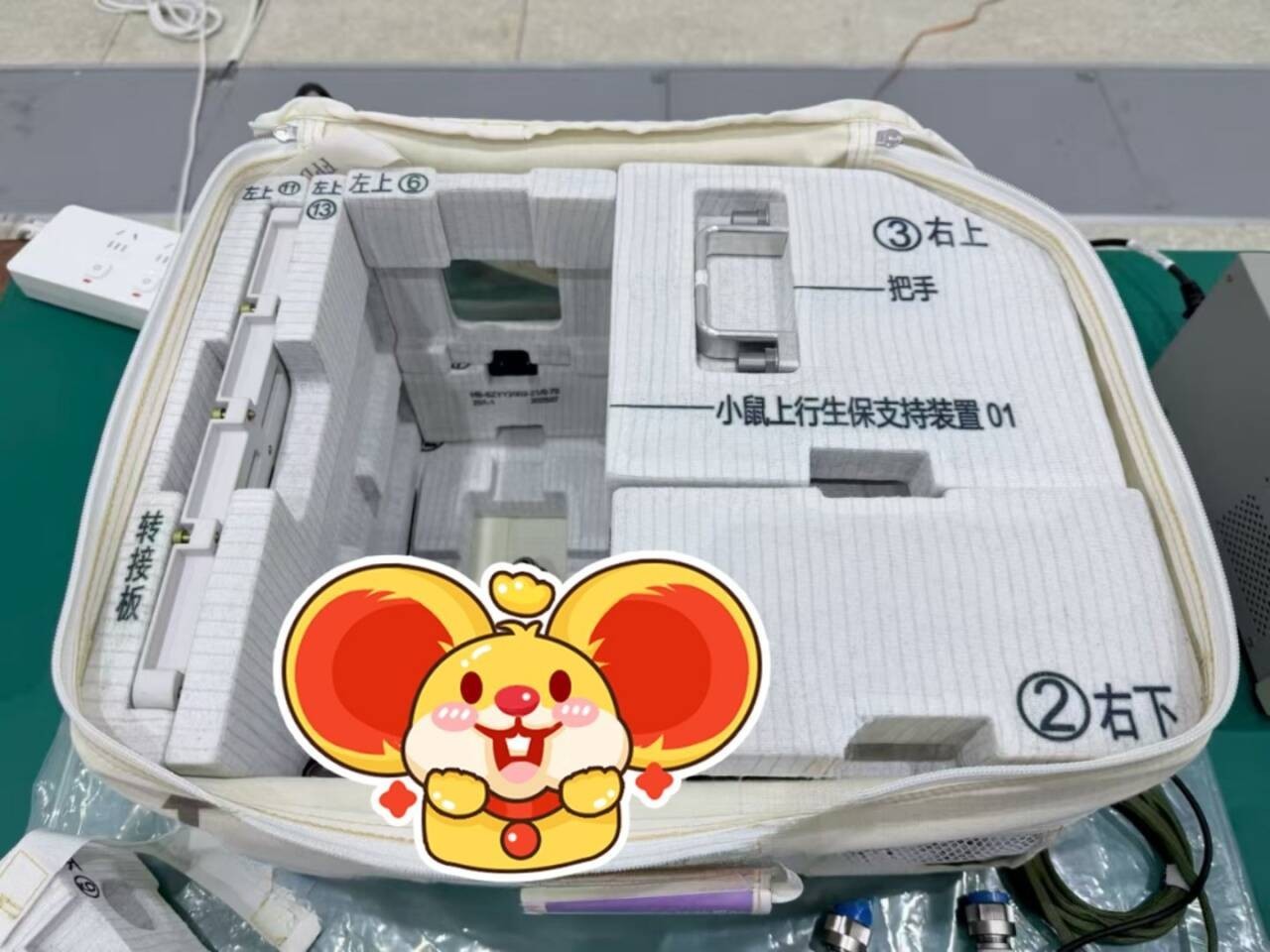 鼠鼠实验包