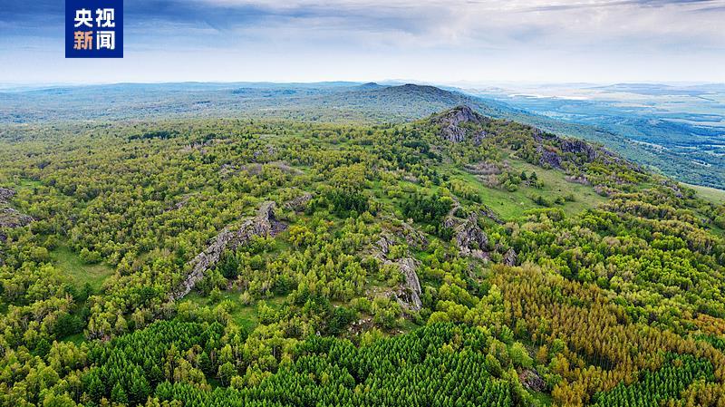 跟着习主席看世界丨在这“梨花开遍了天涯”的季节 去“三好”邻邦家做客