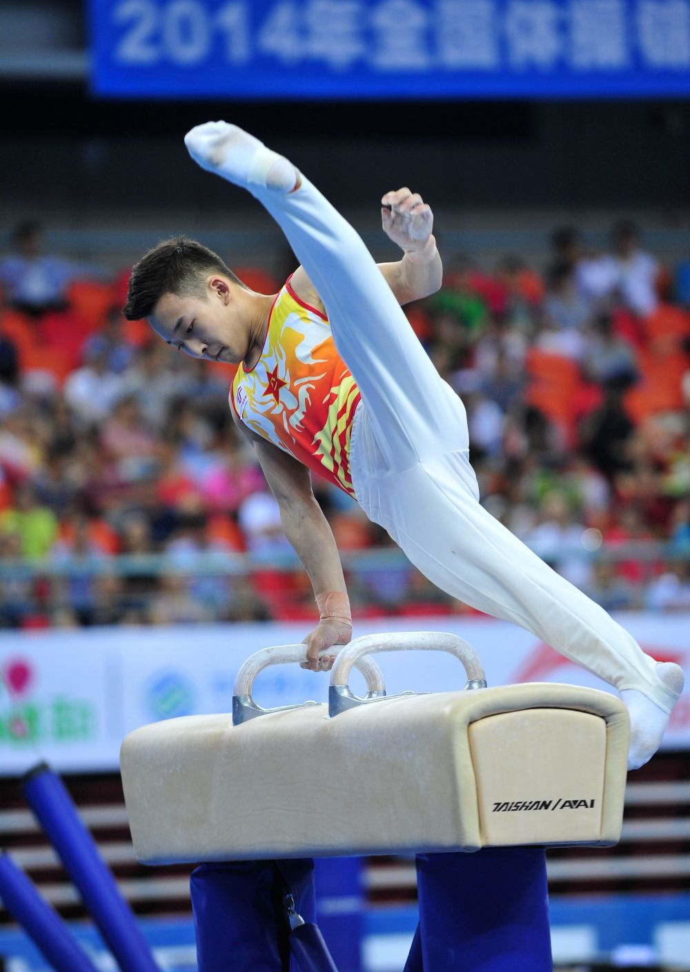 2014年5月12日,肖若腾在全国体操锦标赛暨第四十五届世界体操锦标赛测试赛男子鞍马决赛中。新华社记者 黄孝邦 摄