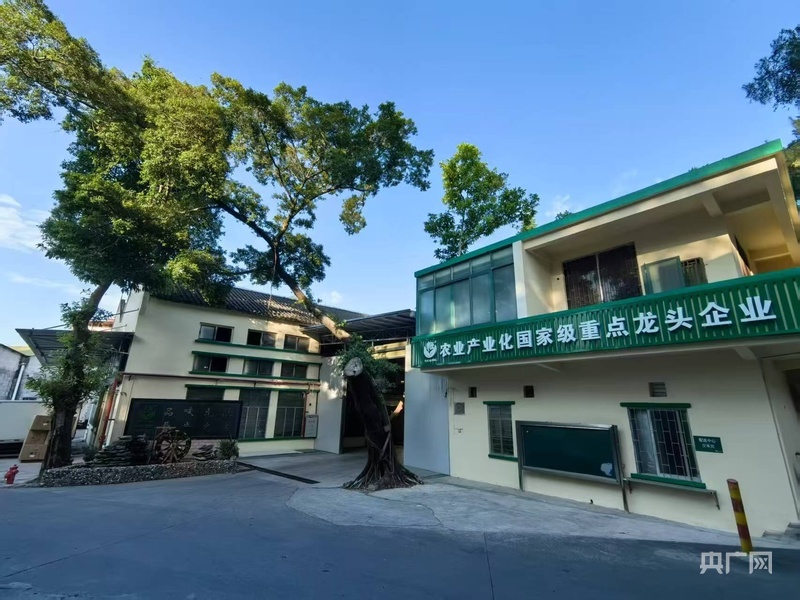 农业产业化国家级重点龙头企业——粤旺农业集团(央广网发 受访者供图)