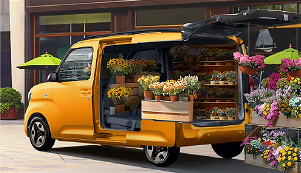 国产K-Car正式登场!五菱之光EV上市:4.78万起