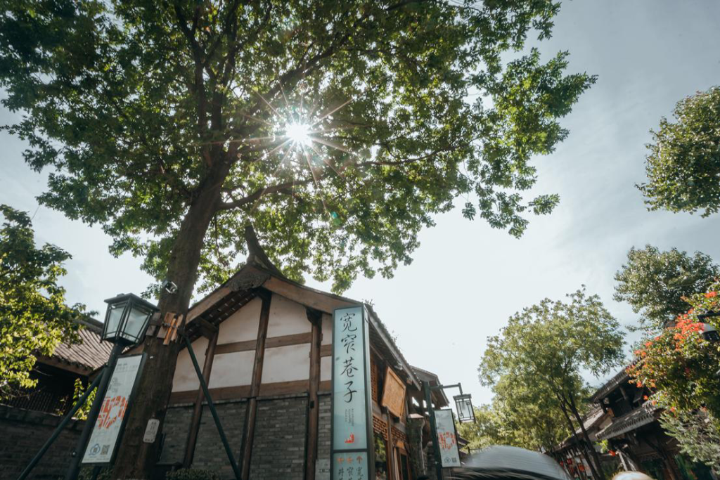 宽窄巷子。资料图