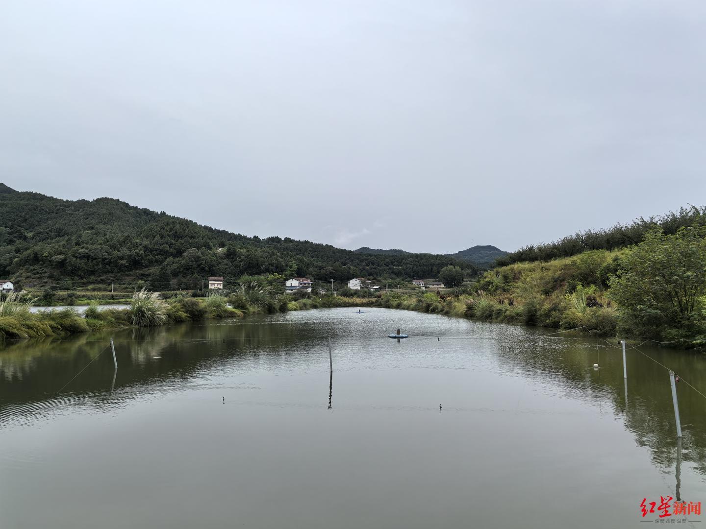 ▲坠机现场旁边就是鱼塘和水库
